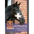 Mein Pferd ist krank - was tun?