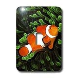 Tropical Fish - Clown Anemone Fish - Light Switch Covers - single toggle switch