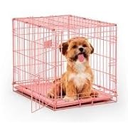 MidWest Single Door Dog iCrate 24-Inch Pink