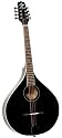 Trinity College TM-325B Celtic Octave Mandolin with hardshell case