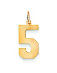 14K Yellow Gold Medium Polished Number 5 Charm Pendant