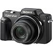 Sony Cybershot DSC-H10 8.1MP Digital Camera with 10x Optical Zoom with Super Steady Shot