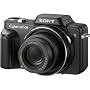 Sony Cybershot DSC-H10 8.1MP Digital Camera with 10x Optical Zoom with Super Steady Shot