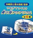 つなげてつくろう　美ら海アクアリウム・沖縄美ら海水族館　（全６種フルコンプセット）イメージ
