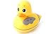Floating Duck Fm/Am Radio