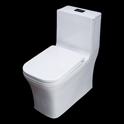 How Do I Get BAI 1007 Contemporary Toilet One Piece Dual Flush Soft 