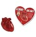 Anatomical Chewy Gummy Heart, Strawberry Flavor