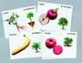 WORLDCLASS LEARNING MTRLS. VEGETABLES & FRUITS POSTERCARDS SPANISH/ENGLISH
