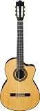 Ibanez - Guitares classiques electro acoustiques G200ECE NT naturelle