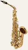 Sas280rshc Selmer Lv Ii Silver-hard Case
