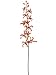 Faux 33 Decor Mokara Orchid Spray Orange Flame (Pack of 12)
