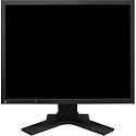 Eizo S2100-K 53,3 cm (21 Zoll) TFT Monitor schwarz DVI (Kontrast 1000:1, 8 Ms Reaktionszeit)