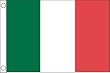 Taylor Made Products Ireland Boat Flag (12" x 18")