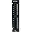 Tripp Lite N250-012 Cat6 Wall Mount Feedthrough Patch Panel -12 Port