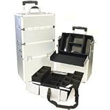 Professional Cosmetic Case in Silver (Silver) (27.5