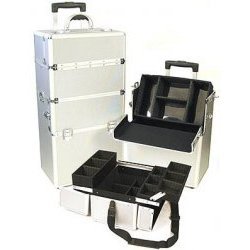 Professional Cosmetic Case in Silver (Silver) (27.5