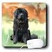 Dogs NewFoundLand - NewFoundLand - Mouse Pads