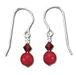 Liquid Solid Sterling Silver Red Agate & Red Crystal Earrings