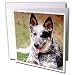 Dogs Australian Cattle - Australian Cattle Dog - Greeting Cards-12 Greeting Cards with envelopes
