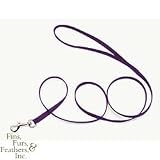 Coastal Pet Nylon Dog Leash / Lead (Purple, 4 ft. L x 3/8 inch W)