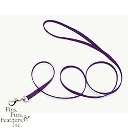Coastal Pet Nylon Dog Leash / Lead (Purple, 4 ft. L x 3/8 inch W)