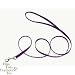 Coastal 4 foot Purple 3/8 Nylon Web leash / lead