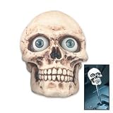 Skull Shift Knob W/ Eyes - Collectible Figurine Statue Sculpture