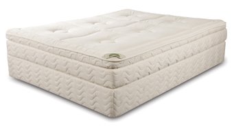 Full Natura Organic Latex Eco Transcend Ultra Plush Euro Top Mattress Set