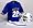Kentucky Wildcats