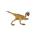 Dinosaure Oviraptor