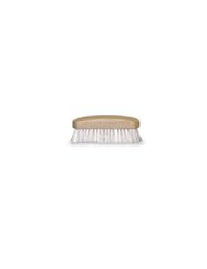Pet Products: Decker FB21 Face Brush for Horses, Small - TV Non-Branded Items (Pets)