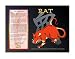 Asian Zodiac Poster Year of the Rat: Birth Years 1912 1924 1936 1948 1960 1972 1984 1996 2008