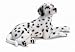Schleich Dogs: Dalmation