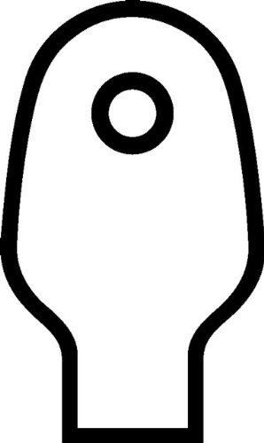 large image