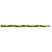 Halloween Pencil