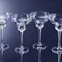 Mikasa Cheers Margarita, Set of 4