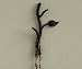 Kitchen & Housewares : Hand-Forged Recycled Iron Leaf Double Hook