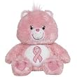 Care Bears Pink Power Bear