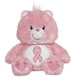 Care Bears Pink Power Bear