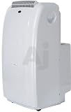 Dual-Hose Portable AC System - 13,000 BTU (cooling only)