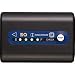 Sony NP-QM91D Lithium-Ion Battery for DCR-DVD101, 201, 301, SR1 & HDR-HC1 Camcorders