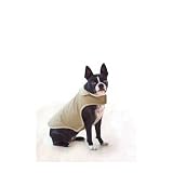 Company Of Animals Dog Gone Smart Quilted Jacket Red 25.5cm (10 inch ) Kitchen & Housewares