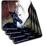 Horse - Andalusian Mare and Foal - Coasters