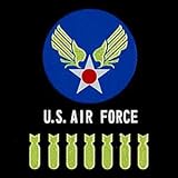 彩蒔絵シール ミリタリー蒔絵シール U.S. AIR FORCE＆弾丸