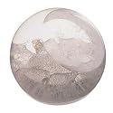 Celebration Silver 25th Anniversary