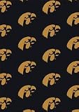 Iowa Hawkeyes 3 10 x 5 4 Team Repeat Area Rug