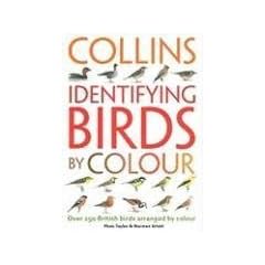 Identifying Birds by Colour