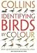 Identifying Birds by Colour