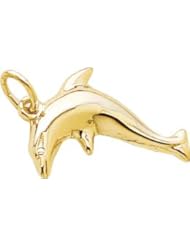 Rembrandt Charms Dolphin Charm