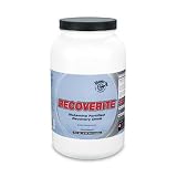 Recoverite Subtle Citrus 32 by Hammer Nutrition